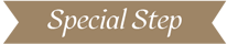 スペシャルステップ